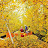 @이경희-o2m2m