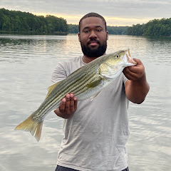 Lucas Lures