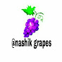 Nashik Grapes, INDIA logo