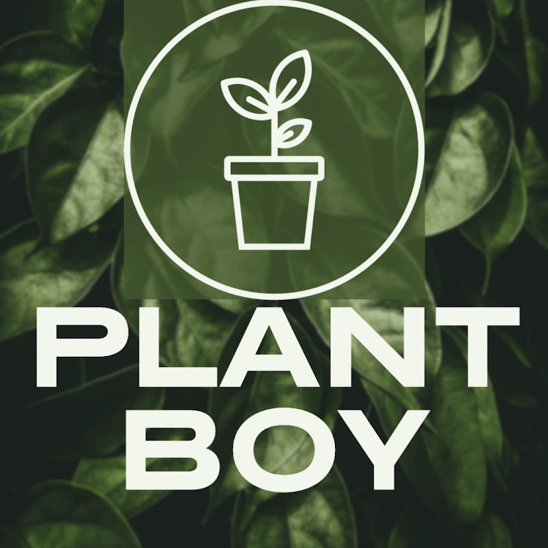 Kade - Plant Boy