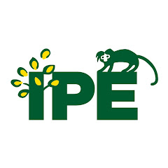 Canal do IPÊ