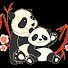 skjrkLL230k-channel-avatar-Crazy Panda