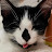 @mariogarcia8255's avatar