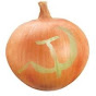 Soviet onion