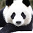 @haitaozhu7847 Avatar