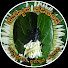 D2AFS1reMuk-channel-avatar-Sathyoda Karigandha
