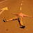@andrewooleongwei3543's avatar