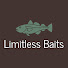 RwOiYg_WE-k-channel-avatar-Limitless Baits