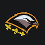 Bosnian Falcon logo