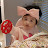 @tv-5402