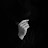 avatar of @largebukowski2084