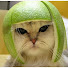 W2WXstBqRQ0-channel-avatar-IMUSTHCOOSEANEWNAMEB