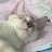 @진-y2u6i