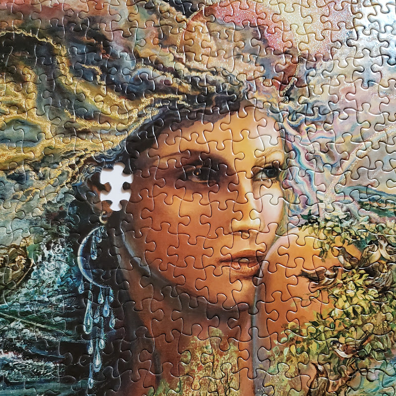 The Missing Piece icon