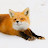 @mistletter