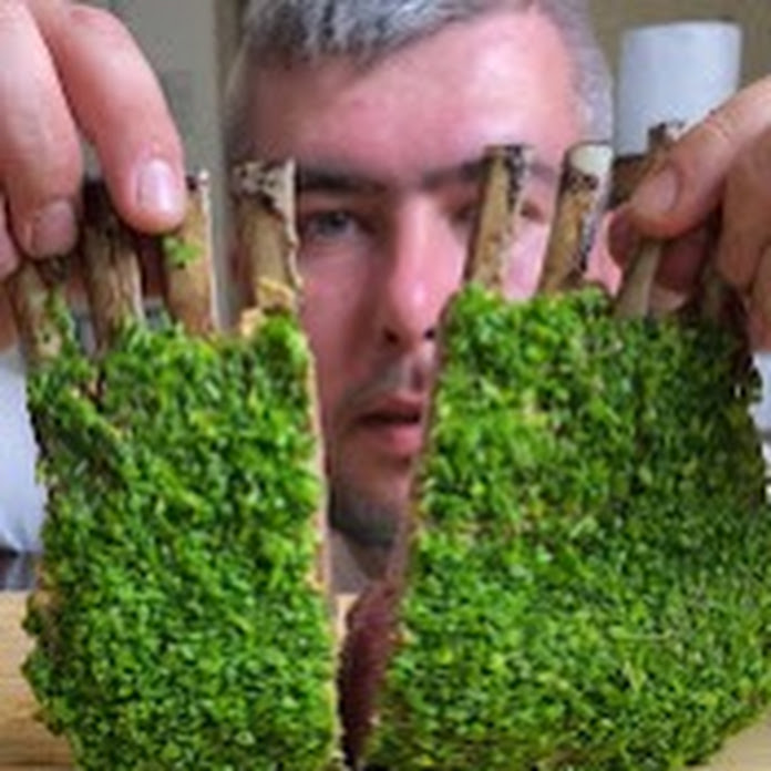 albert_cancook Net Worth & Earnings (2026)