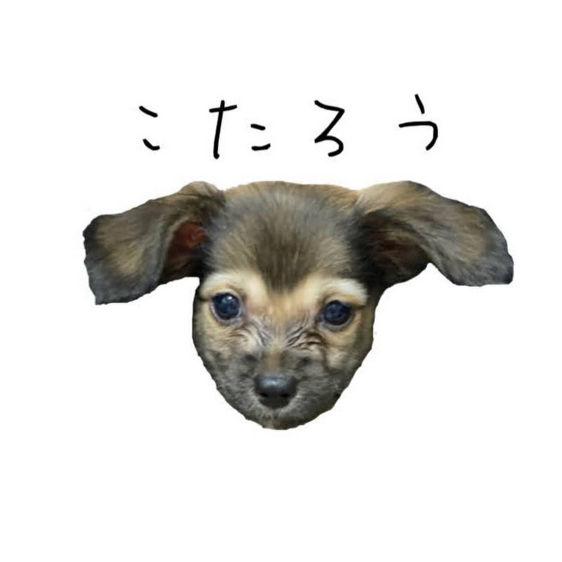 チワックスこたろう YouTubeチャンネル画像