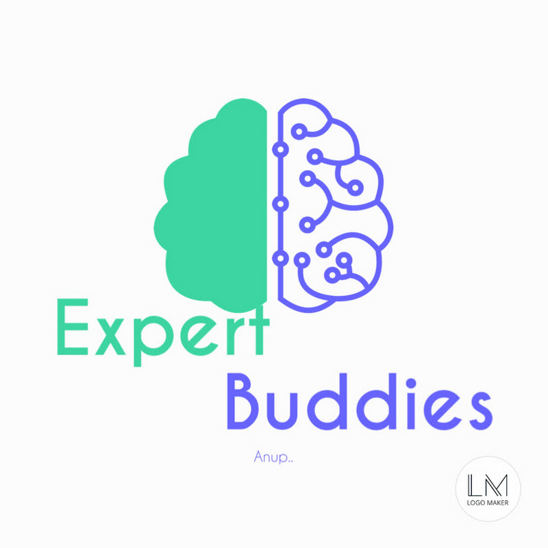 EXPERT BUDDIES
