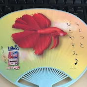 もずく