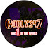 HUXt5S4GBD8-channel-avatar-Codly 247