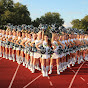 Wilco Falcons Cheerleading