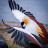 @arzhangemamifar7702's avatar
