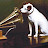 @jimshaw899's avatar