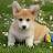 @user-oy6j6fbsn9fhw