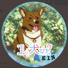 to kyo