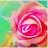 avatar of @zainabamin7076