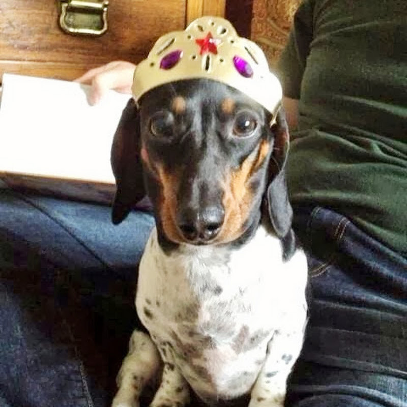 SweetPea ThePod