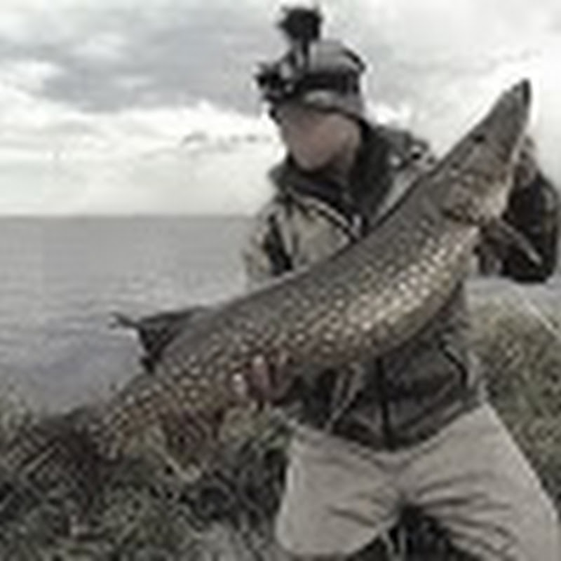 Channel Avatar