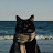 @ilyaschatbi2418 Avatar