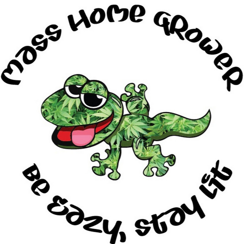 Gchyea326 icon