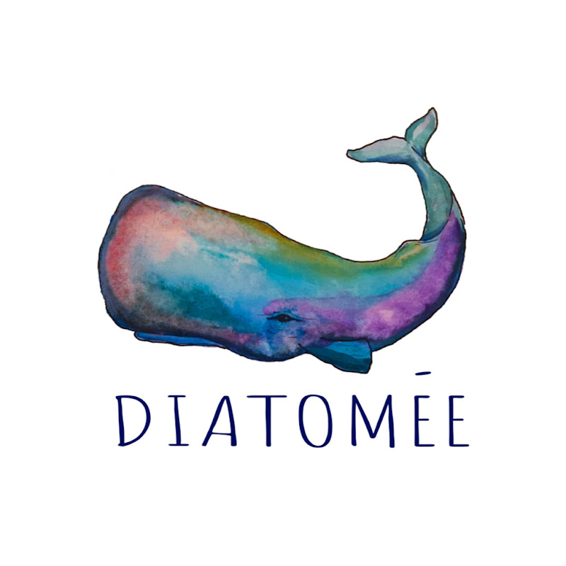 diatomee1744