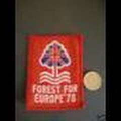foresttillidie2