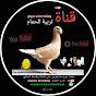 تربية الحمام Breeding Pigeons thumbnail