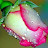 @harunhridoy9215 Avatar