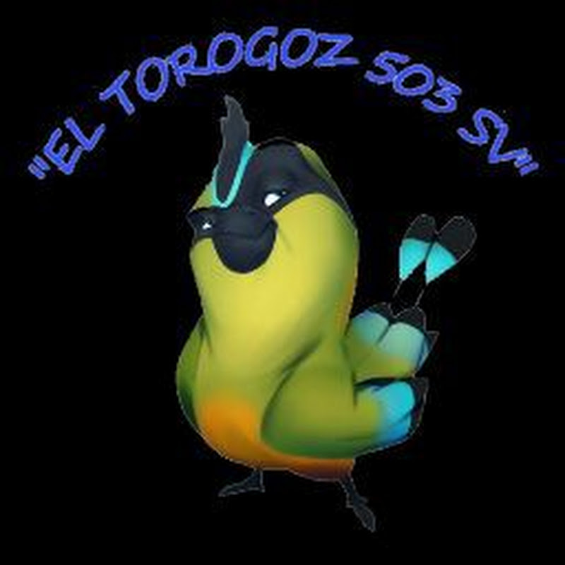 Channel Avatar