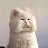 @오잉둥둥