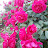 @user-rt2hs7oe4w