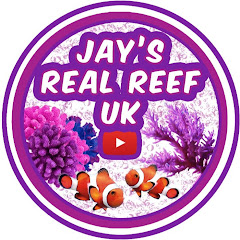 Jay's Real Reef UK Avatar