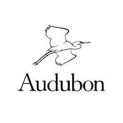 National Audubon Society Inc