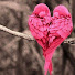 L7m48-f3Shg-channel-avatar-Jazz & more음악 다큐 보실래요?