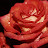 @happylife21stcentury38