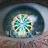 @allansh828's avatar