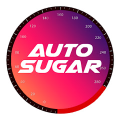 AutoSugar net worth