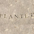 82Ix8HlUGNg-channel-avatar-Planted with Ian Cooke