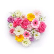 Daisy_Corsage
