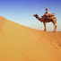 yRosIlzOmMw-channel-avatar-الصحراء